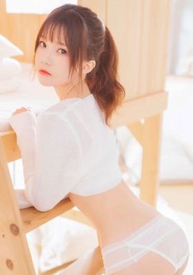 细狗视频免费版网页版怎么打开