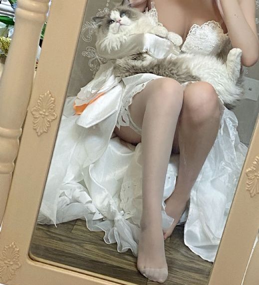 佳米影院理论片