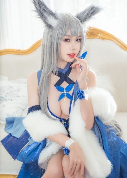 盒子里的猫