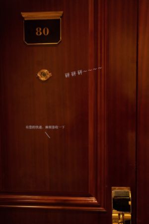 《美女器官》在线观看