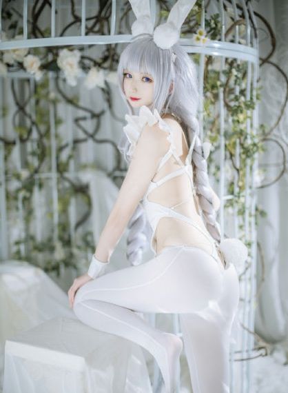 骑士陨落