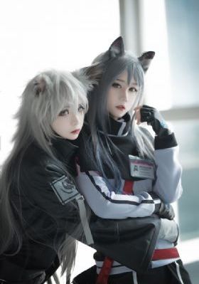 继承者
